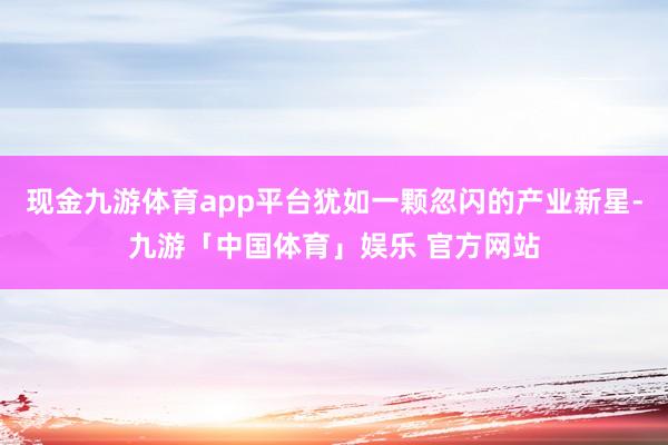 现金九游体育app平台犹如一颗忽闪的产业新星-九游「中国体育」娱乐 官方网站