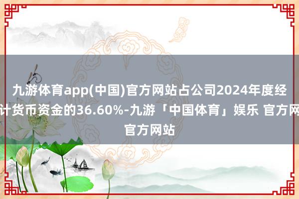 九游体育app(中国)官方网站占公司2024年度经审计货币资金的36.60%-九游「中国体育」娱乐 官方网站