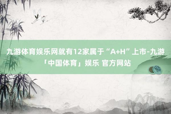 九游体育娱乐网就有12家属于“A+H”上市-九游「中国体育」娱乐 官方网站